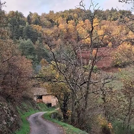 Refuge De La Foret Feerique *
